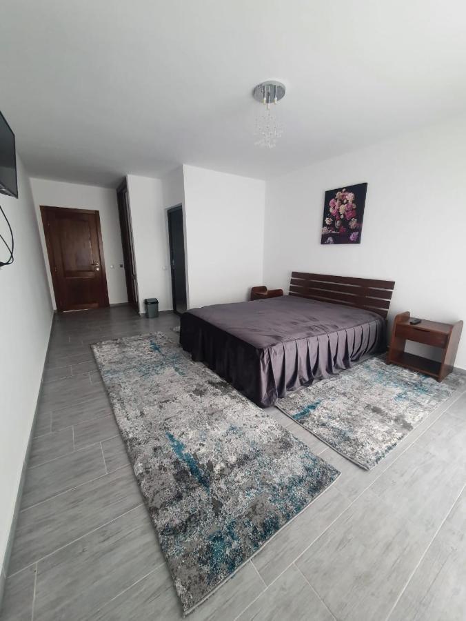 Casa De Vacanta Larisa Novaci-Străini Buitenkant foto