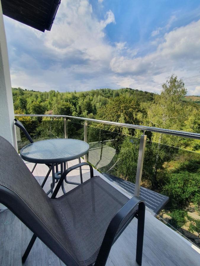 Casa De Vacanta Larisa Novaci-Străini Buitenkant foto
