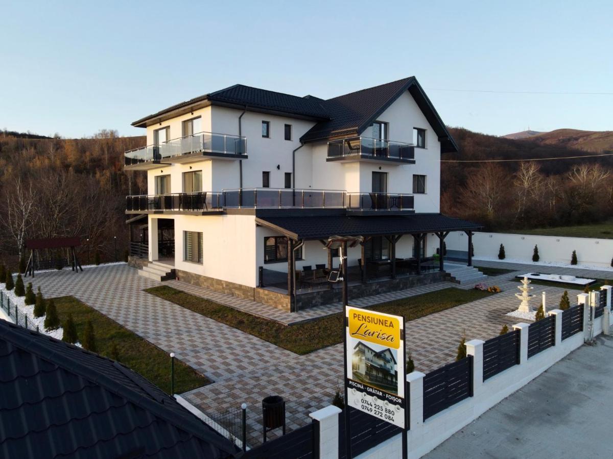 Casa De Vacanta Larisa Novaci-Străini Buitenkant foto