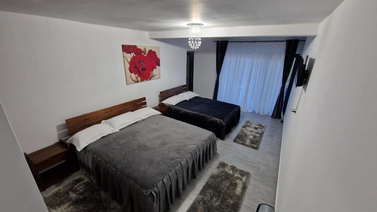 Casa De Vacanta Larisa Novaci-Străini Buitenkant foto