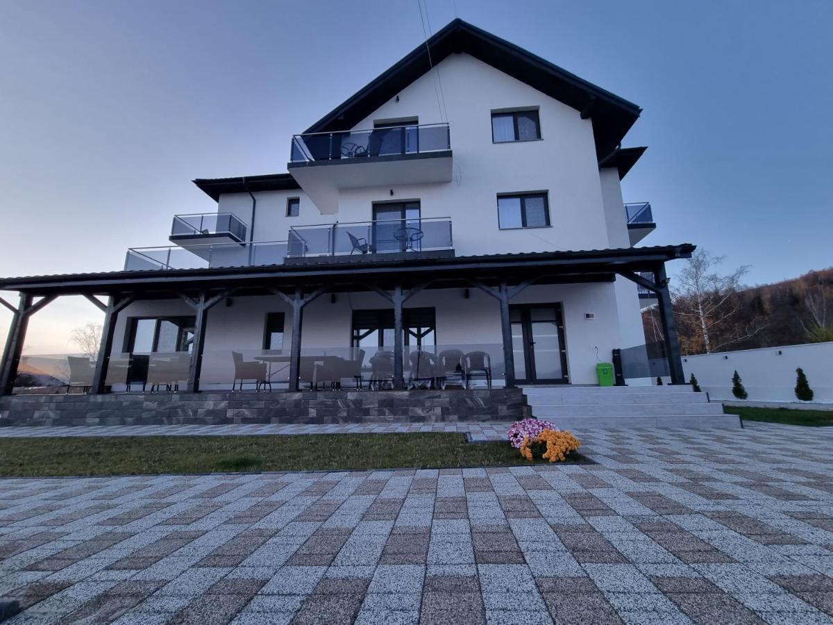 Casa De Vacanta Larisa Novaci-Străini Buitenkant foto