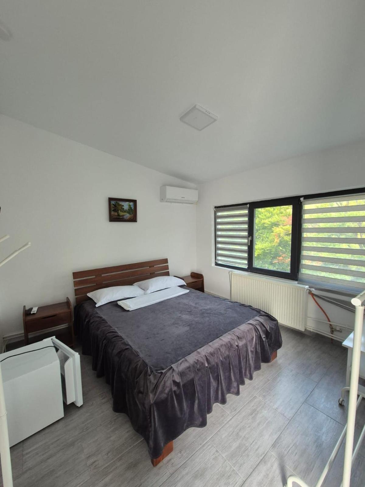 Casa De Vacanta Larisa Novaci-Străini Buitenkant foto